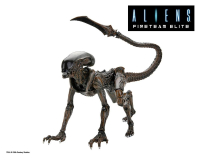 Aliens: Fireteam Elite Runner Alien Actionfigur 23 cm